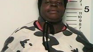 Cow Suit-Wearing Woman Scares Wee Ones • Man Paints Nude Palin Portrait For Windy City Pub